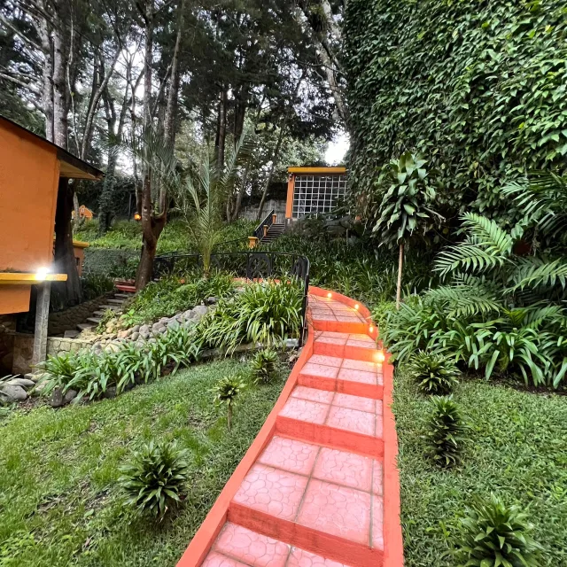 Foto de Oasis de la Birria